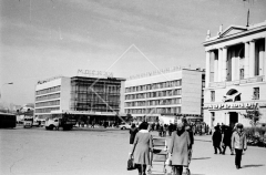 №13