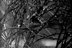 №16