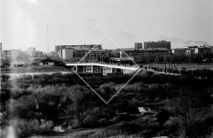 №25