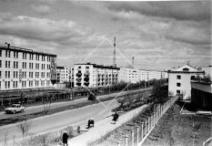 №41