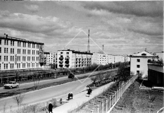 №42