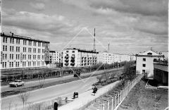 №50