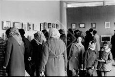 №11