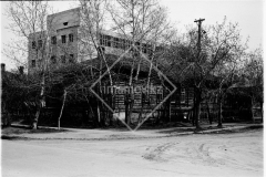 №17