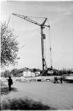 №19
