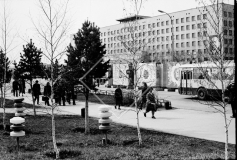 №24