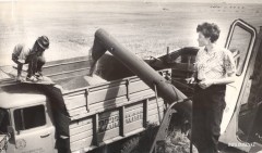 18-Совхоз-Амангельдинский-агрегат-Н.-Геллерт-август-1987-год