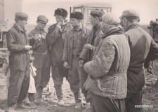 27-Совхоз-Ново-Алексндровка-1964-год