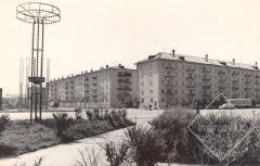 17-Фото-№2